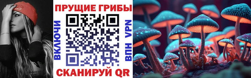 Псилоцибиновые грибы Magic Shrooms  Купить  Олонец 